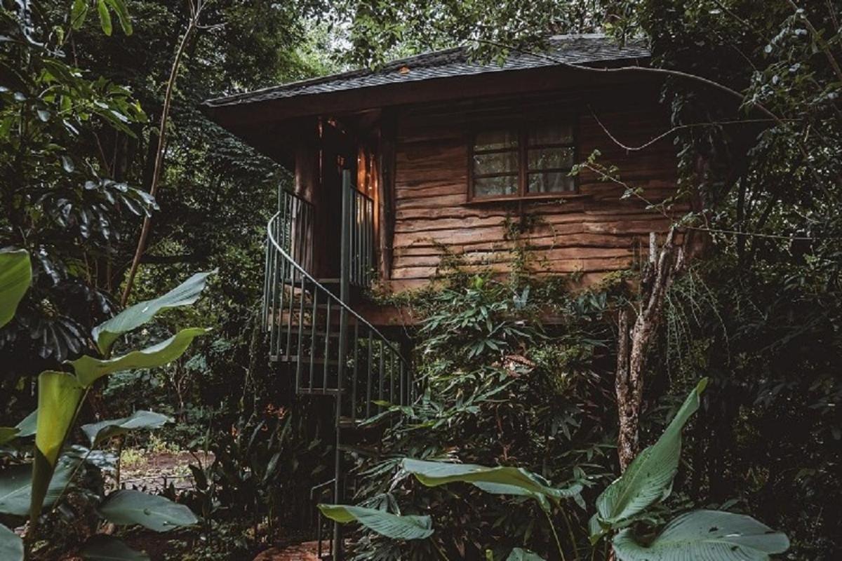 Roots Tree House Villa Uluwatu  Bagian luar foto